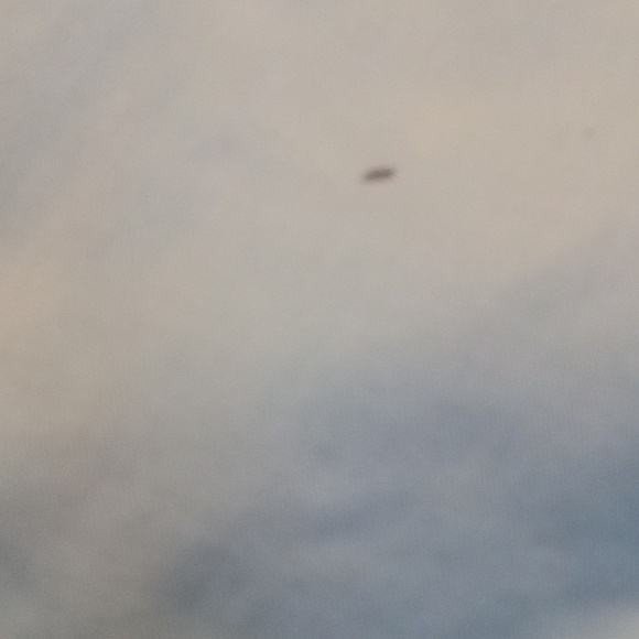 Hurley Light Blue Boy's Shorts L - Picture 7 of 7